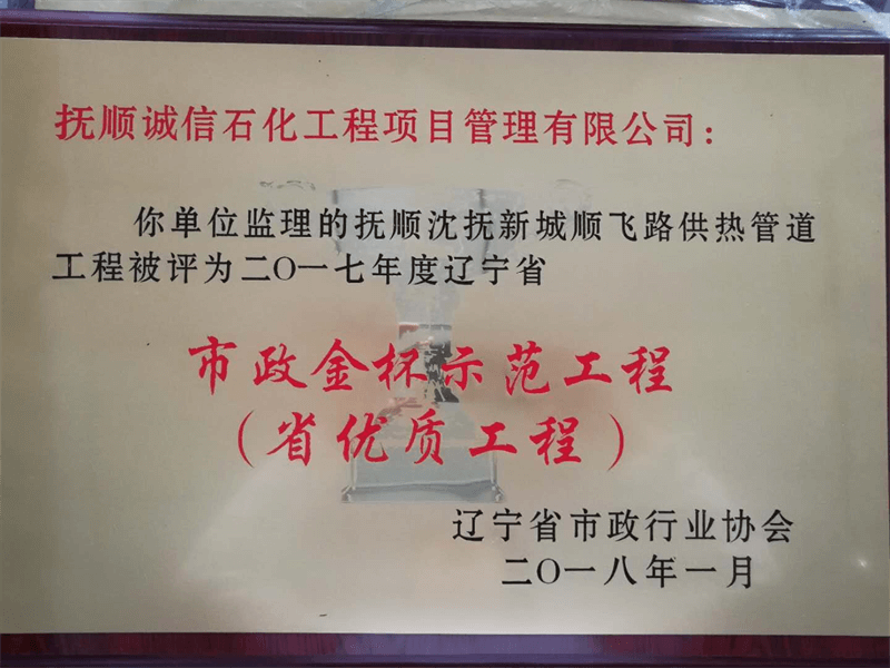 撫順沈撫新城順飛路供熱管道工程獲2017年度遼寧省市政金杯示范工程（省優(yōu)質(zhì)工程）.png